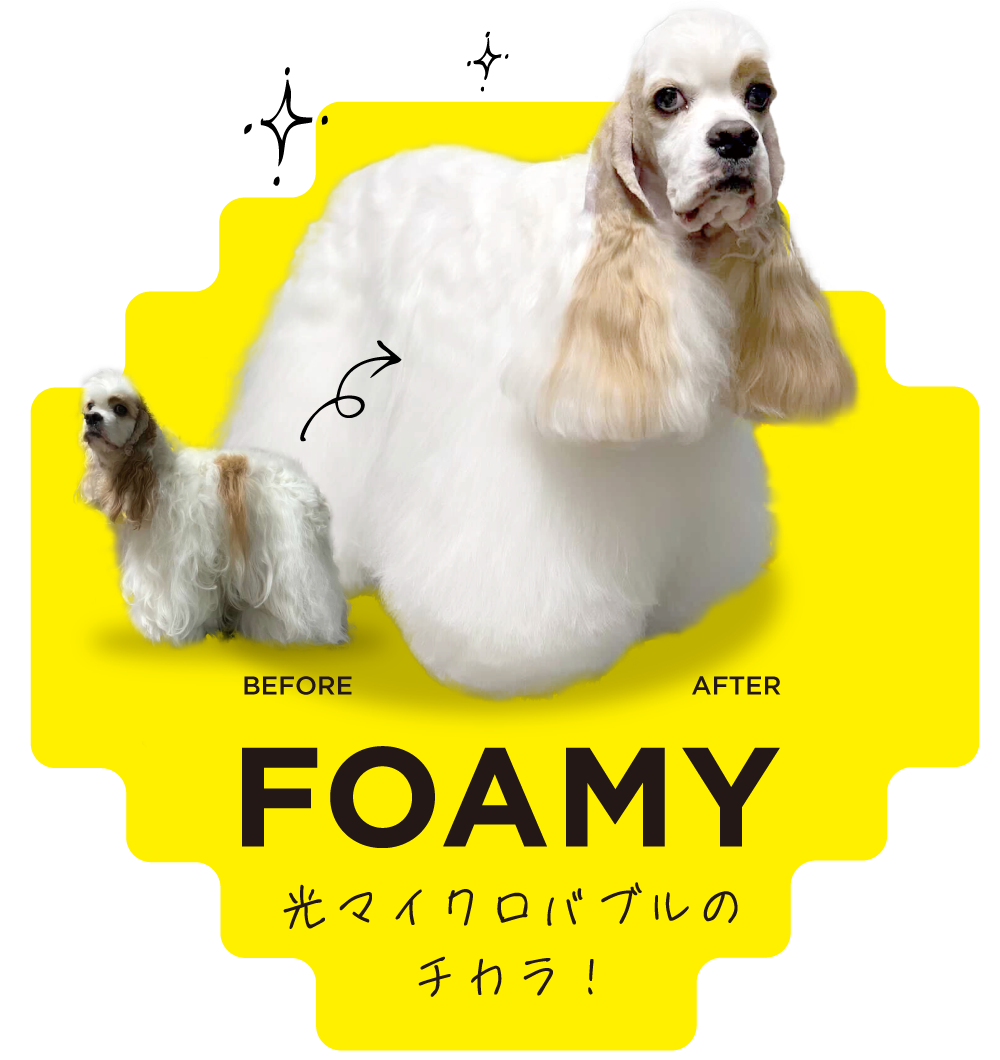 FOAMY