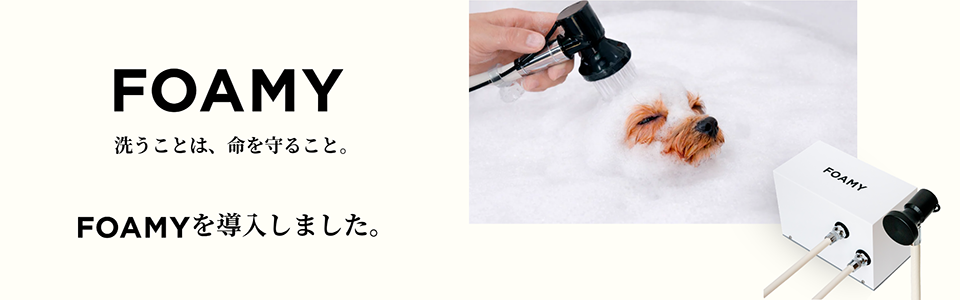 FOAMY