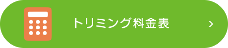 �g���~���O�����\
